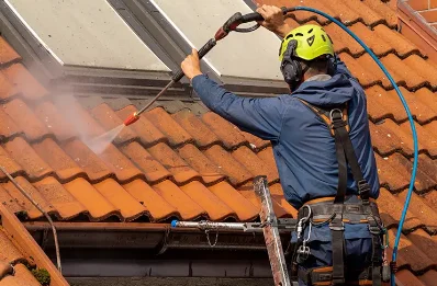 Démoussage et hydrofuge de toiture à Sermérieu